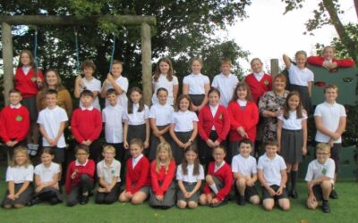 Class 3 Newsletter